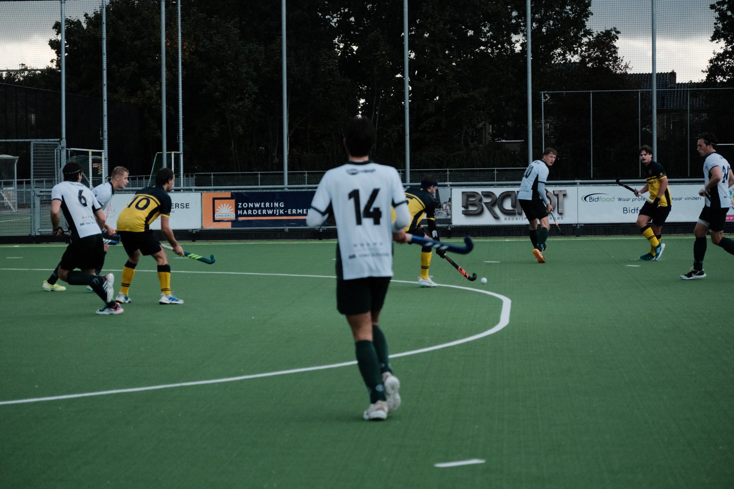MHC De Mezen H1